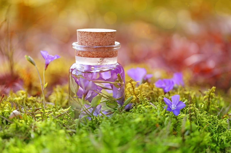 Magic-infused flora